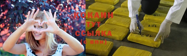 спиды Кукмор