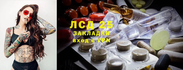 спиды Кукмор